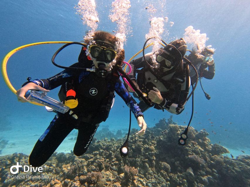 Scuba Diving Experience in Porto Cesareo - My take on the overall experience