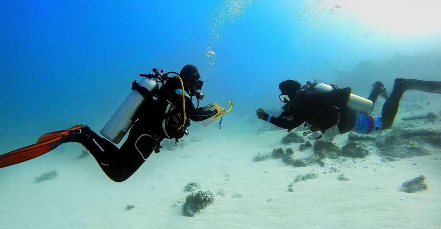 Scuba Diving Experience in Porto Cesareo - The first lesson: learning the basics before entering the water