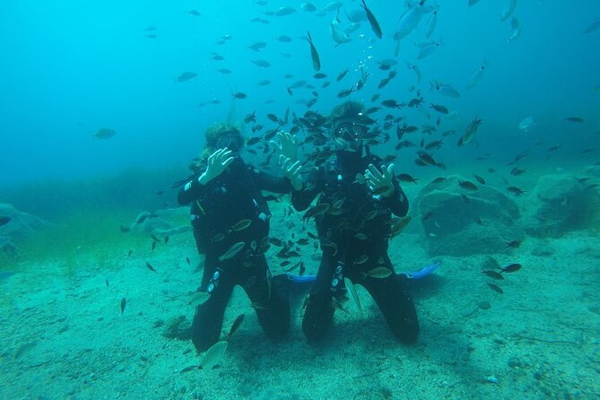 Scuba Diving Experience in Santorini - The 35 to 40 minute underwater session