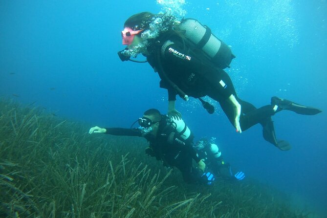Scuba Diving Experience in Santorini - What the price of $106.64 really covers