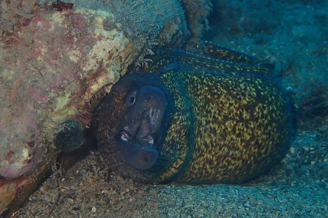 Scuba Diving Experience in Taormina - Starting early at Giardini-Naxos
