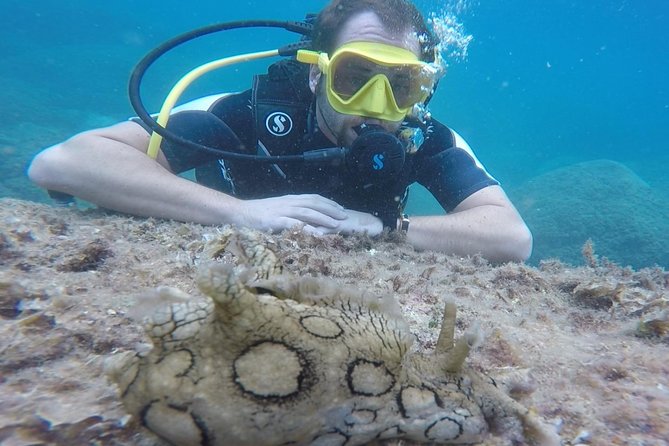 Scuba Diving Experience in Taormina - Who will enjoy this experience most?