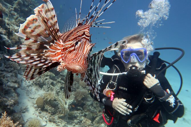 Scuba Diving Experience & MUSAN Dive + Free Edited Video 2xdives - What the five-and-a-half-hour schedule feels like