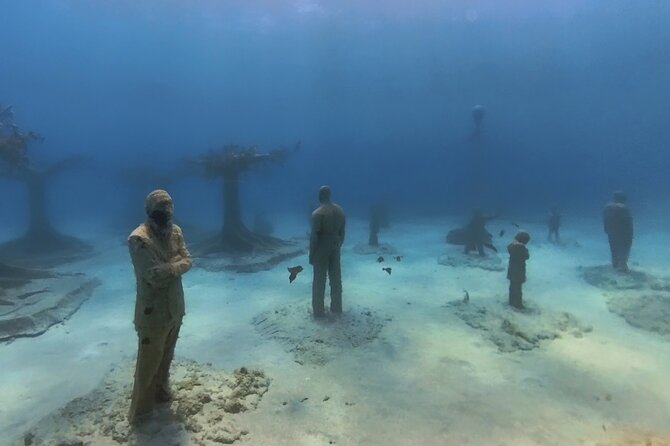 Scuba Diving Experience & MUSAN Dive + Free Edited Video 2xdives - Who will enjoy this most