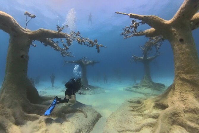 Scuba Diving Experience & MUSAN Dive + Free Edited Video 2xdives - The underwater sculptures at MUSAN