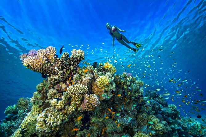 Scuba Diving Experience with Lunch & Transfer from Hurghada - Hotel pickup and the practical morning plan