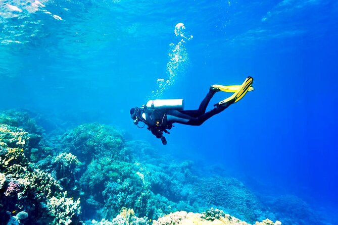 Scuba Diving Experience with Lunch & Transfer from Hurghada - Who will get the most from this outing