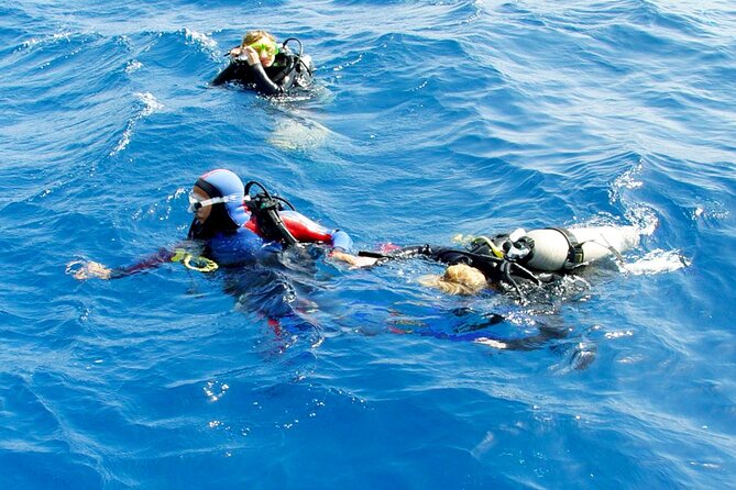 Scuba Diving Experience with Lunch & Transfer from Hurghada - Certified instruction and close supervision