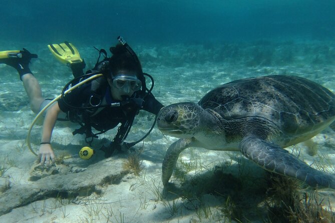 SCUBA DIVING first time experience - Key points at a glance