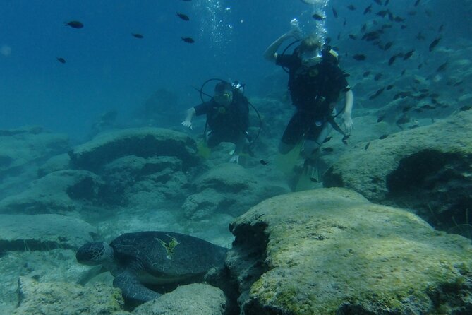 SCUBA DIVING first time experience - Equipment, photos, and the small after-dive touch