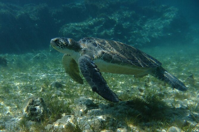 SCUBA DIVING first time experience - Practical details before you book