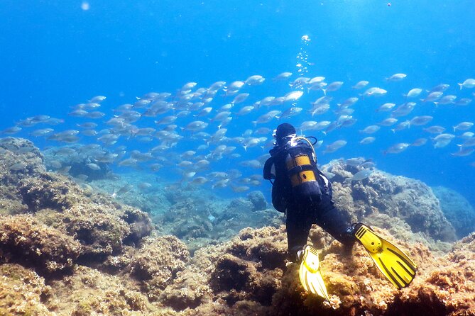 Scuba Diving for Beginner and Experts in Pefkos Lindos - Key points to know before booking