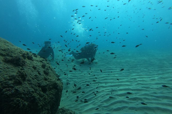 Scuba Diving For Beginners - Your first breath underwater near Salou