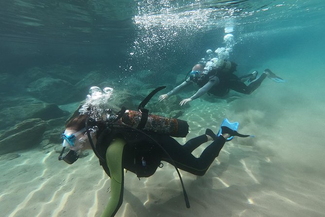 Scuba Diving For Beginners - Pickup in Salou and the meeting point