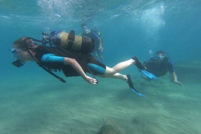 Scuba Diving For Beginners - The underwater payoff