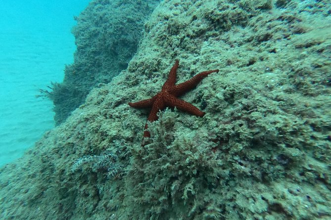 Scuba Diving For Beginners - Who will enjoy this most