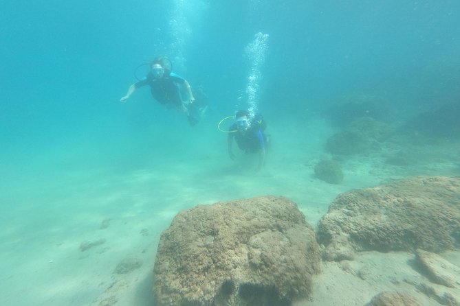 Scuba Diving For Beginners - Price, weather, and cancellation