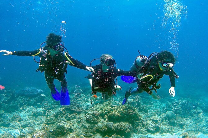 Scuba Diving for Beginners in Pula - Who will get the most from this Pula activity