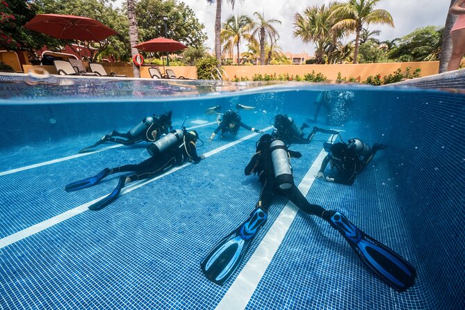 Scuba Diving for Beginners – Tulum Dive Machine - Cuevitas Reef Adds the Caribbean Element