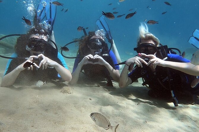 Scuba Diving for Beginners with a PADI Instructor near Heraklion - Who should book this Agia Pelagia activity?