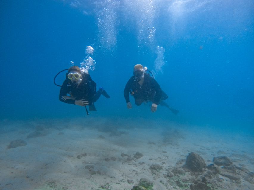 Scuba Diving for Beginners with Certified Diving Centre - Learning the equipment before entering the water