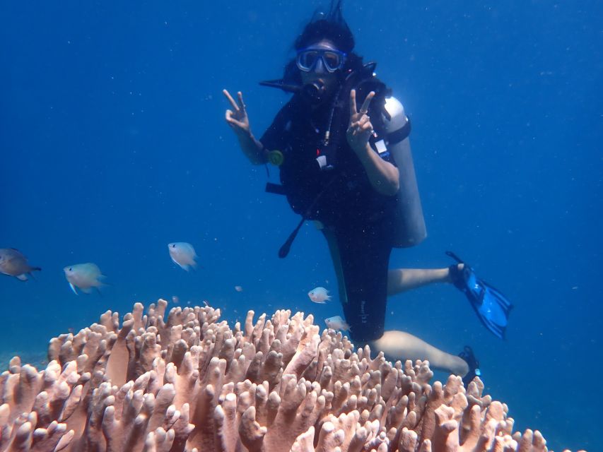 Scuba Diving for Beginners with Certified Diving Centre - The first site: up to 90 minutes around Hon Mun