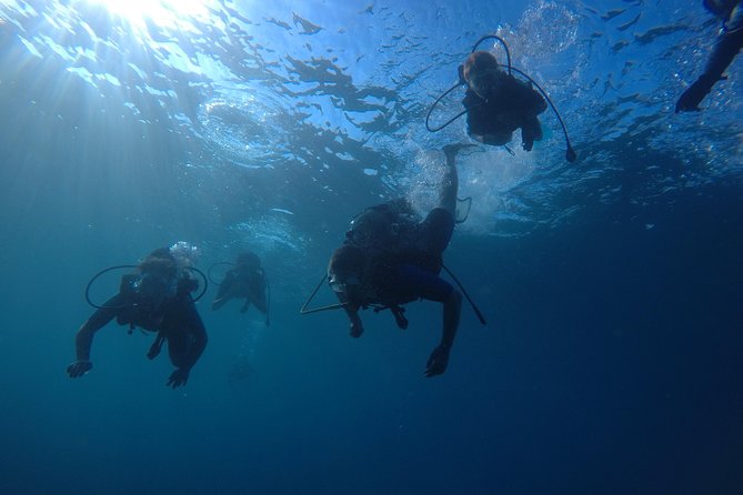 Scuba Diving For Beginners - Starting from the beach, not a boat