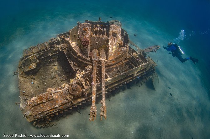 Scuba Diving for Certified Divers - The 7:30 a.m. start and hotel pickup