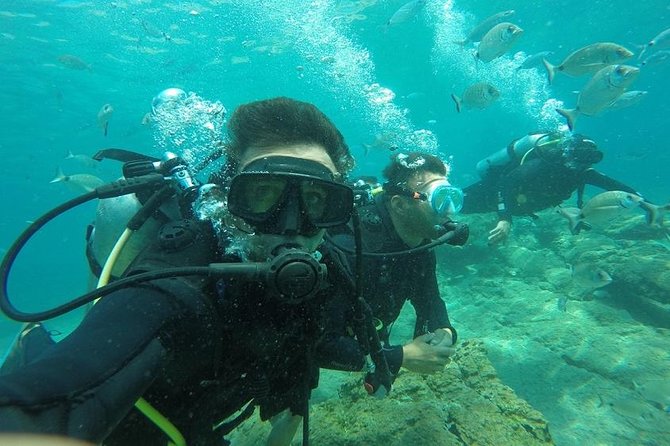 Scuba Diving from Bodrum - Setting out from Bodrum at 8:30 am