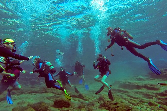 Scuba Diving from Bodrum - Instruction and safety for first-timers