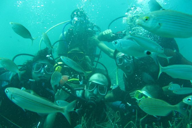 Scuba Diving from Bodrum - Group size, timing, and practical planning