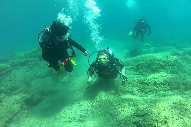 Scuba Diving from Dalyan - Thirty minutes among fish and octopus