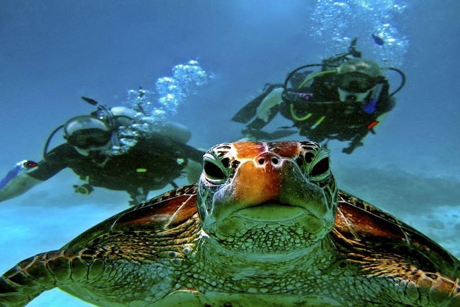 Scuba Diving Full Day Boat Trip for beginners With Lunch & Transfer – Hurghada - Instructors, safety, and equipment quality