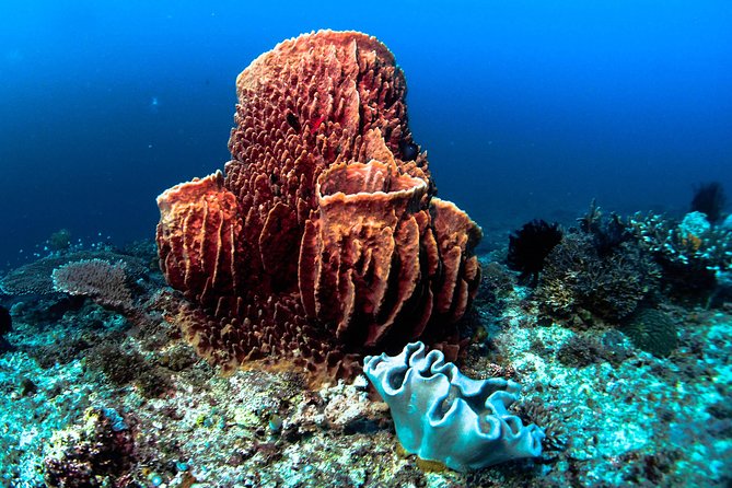 Scuba Diving in Boracay: SSI Basic Diver for Beginners - The first lesson: gear, breathing, and safety