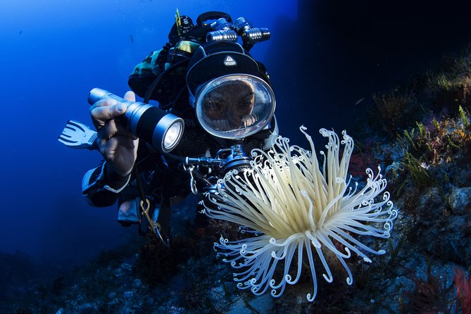 Scuba diving in Calabria, Italy - What is included, and what costs extra
