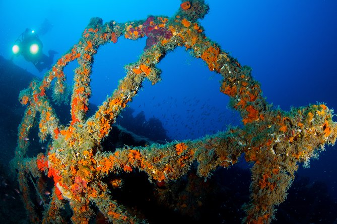 Scuba diving in Calabria, Italy - Skill, health, and timing rules