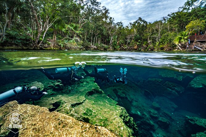 Scuba Diving in Cenotes - Why cenotes feel unlike a normal scuba outing
