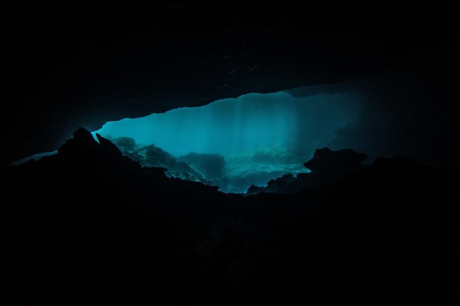Scuba Diving in Cenotes - Guides, equipment, and safety