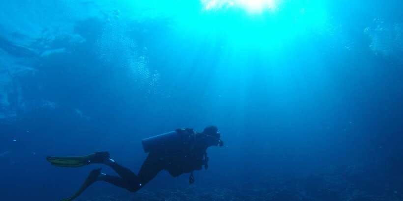 Scuba Diving in Colombo - Colombo’s shipwrecks are the main event