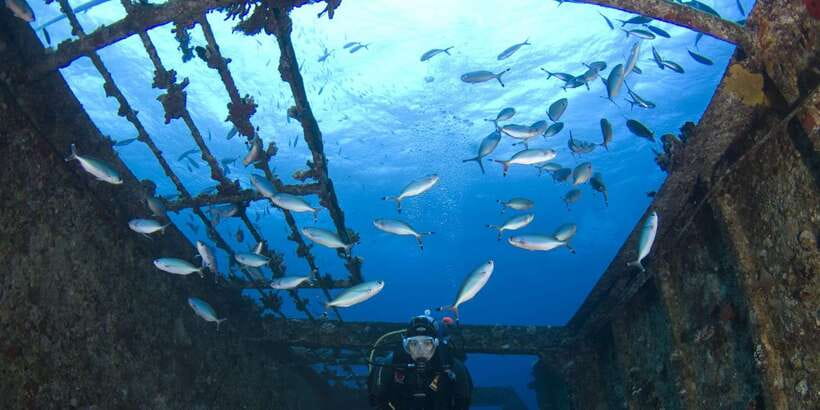 Scuba Diving in Colombo - The second session: a closer look at Colombo’s wreck sites