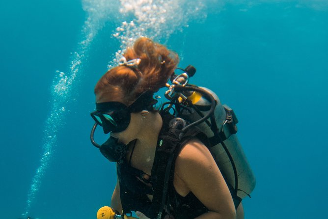 Scuba Diving in Cozumel Island - Two sessions, each up to 60 minutes