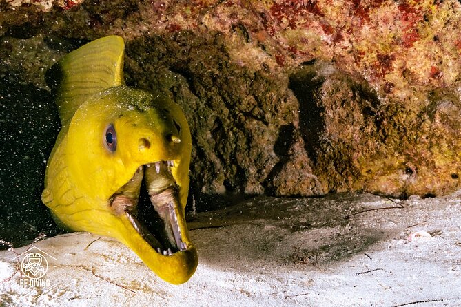 Scuba Diving in Cozumel Island - The one-hour boat break