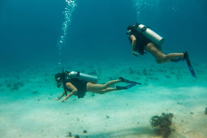 Scuba Diving in Cozumel Island - What the $220 price really covers