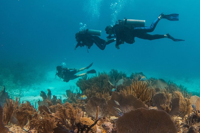 Scuba Diving in Cozumel Island - The strongest part: personal instruction