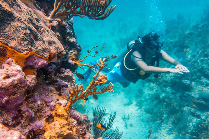 Scuba Diving in Cozumel Island - From the Be Diving shop to the marina