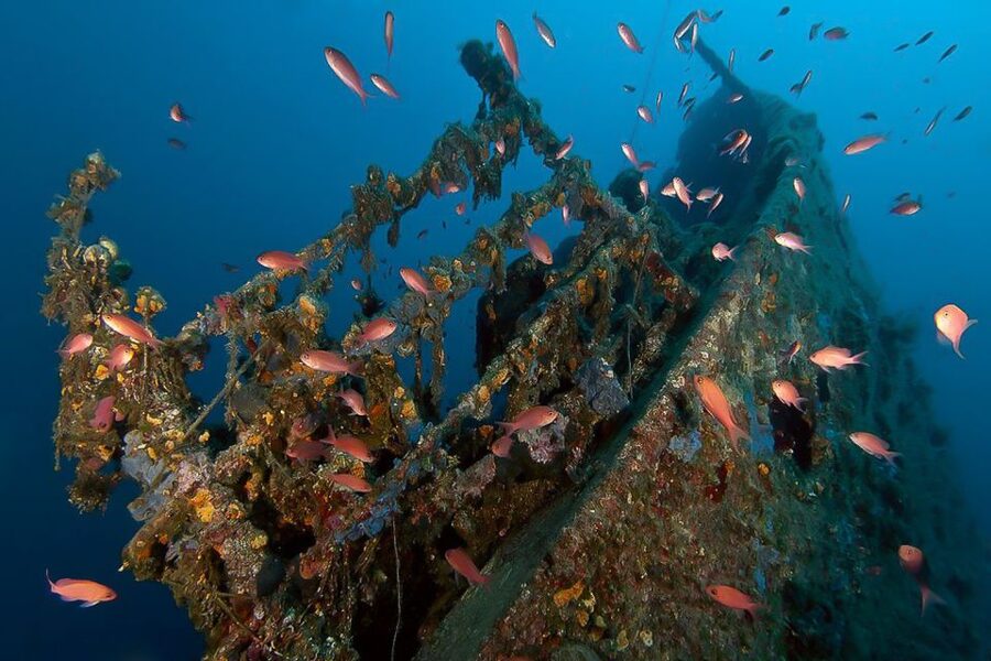 Scuba Diving in Dubrovnik: 1 Dive for Certified Divers - What the 150-minute Dubrovnik session is really like