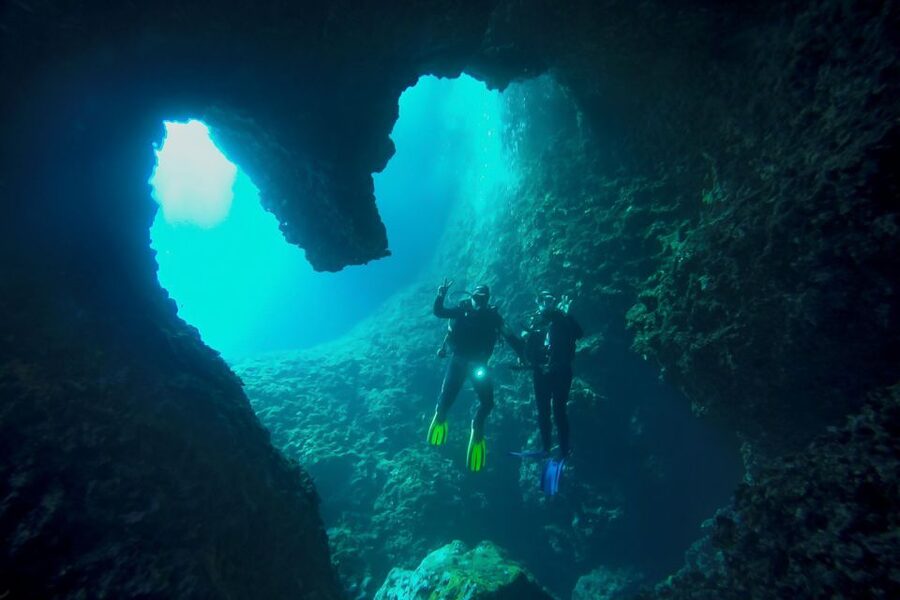 Scuba Diving in Dubrovnik: 1 Dive for Certified Divers - Reefs, caves, and marine life beyond the wrecks
