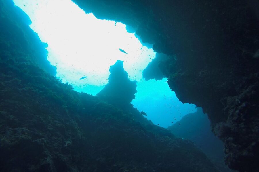 Scuba Diving in Dubrovnik: 1 Dive for Certified Divers - Choosing among Dubrovnik’s 12 underwater sites