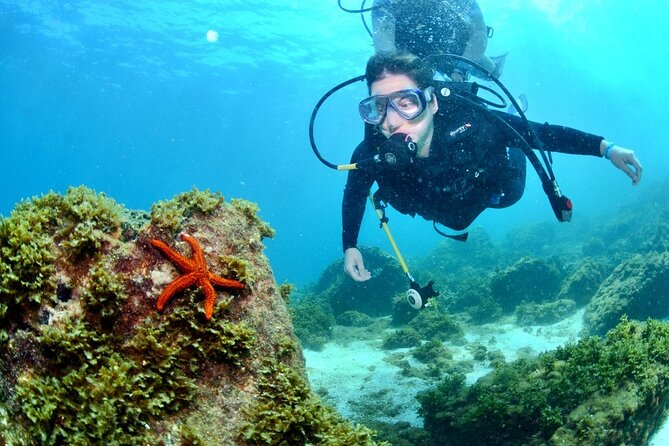 Scuba Diving in Fujairah with Private Transfers - Leaving Dubai before the heat builds