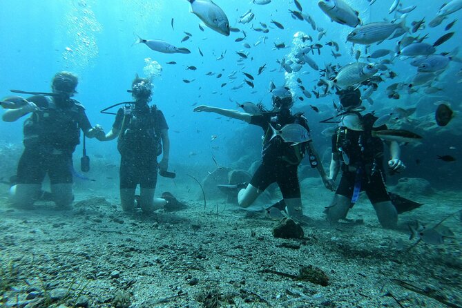 Scuba Diving in Fujairah with Private Transfers - Reaching the coral reef by boat